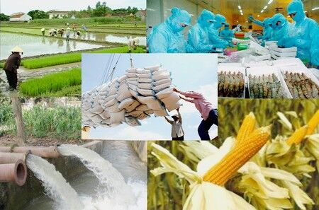 Bãi bỏ 82 thủ tục hành chính lĩnh vực nông nghiệp và phát triển nông thôn