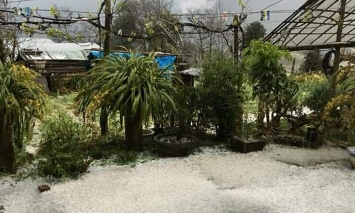 Mưa đá kèm gió mạnh cấp 7 ở Lào Cai làm tốc mái nhiều nhà dân 