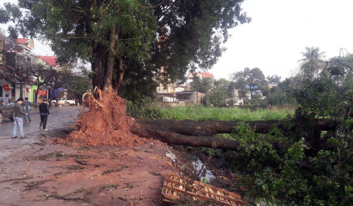 Giông lốc tàn phá hàng trăm ngôi nhà tại Tuyên Quang và Thái Nguyên