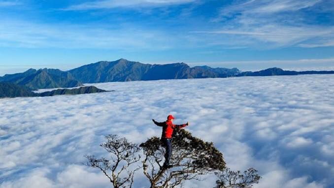 Đỉnh Tà Xùa nơi “Thiên đường ở chốn trần gian”