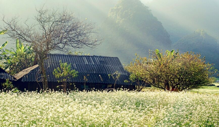 Tết này đi phượt đâu ở Tây Bắc?