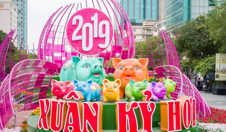 Đàm Vĩnh Hưng buồn và chạnh lòng vì đường hoa Nguyễn Huệ 'cạn ý tưởng'