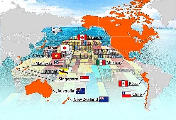 Các nước CPTPP mở cửa thế nào cho hàng hóa Việt Nam?