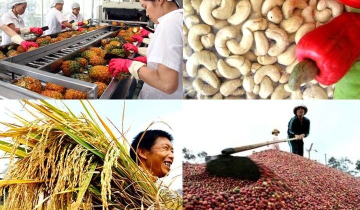 Tìm thấy cơ hội xuất khẩu nông sản của Việt Nam tại BRIFE 2019