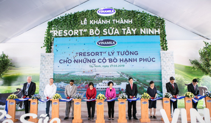 "Resort" bò sữa Vinamik Tây Ninh - Ngôi nhà lý tưởng của những "cô bò" hạnh phúc