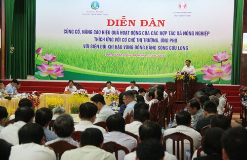 Tiếp tục nâng cao hiệu quả hoạt động các Hợp tác xã nông nghiệp