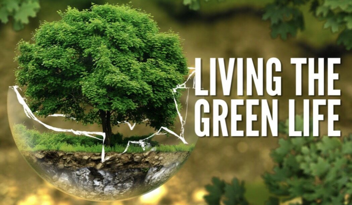Sống xanh – Chuẩn mực mới của thế giới hiện đại