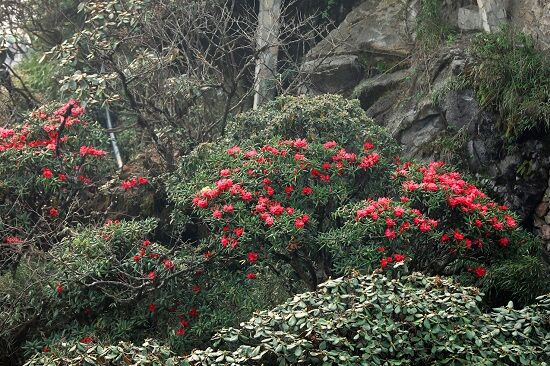 30/4 này, phải khám phá một Tây Bắc thật khác lạ