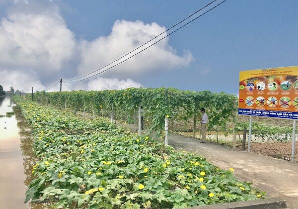 Triển khai kế hoạch sản xuất vụ mùa ở Yên Khánh