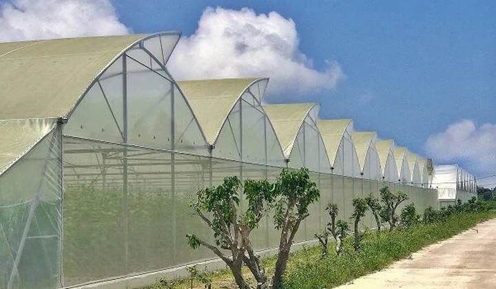 8x làm nông nghiệp công nghệ cao, mở ra hướng đi mới