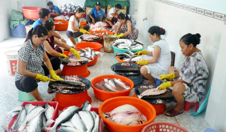 Năm 2019:  Ngành Thủy sản Việt Nam vượt "rào cản"