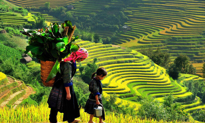 Thấy gì từ chính sách hỗ trợ phát triển các dân tộc rất ít người?