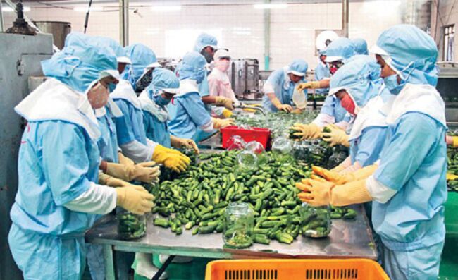 Tuân thủ quy tắc xuất xứ để hội nhập 'sân chơi' thế giới