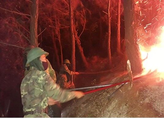 Nghệ An: Khó xử lý người gây cháy rừng.