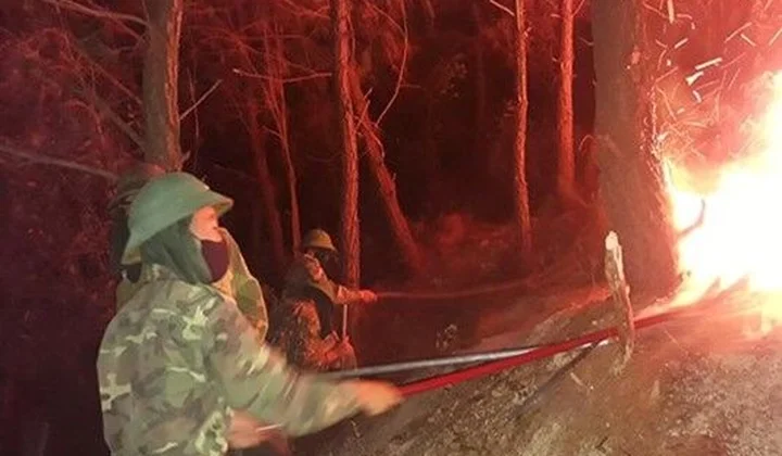 Nghệ An: Khó xử lý người gây cháy rừng.