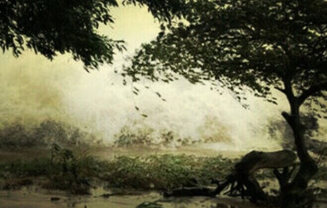 Ký ức ngày bão về