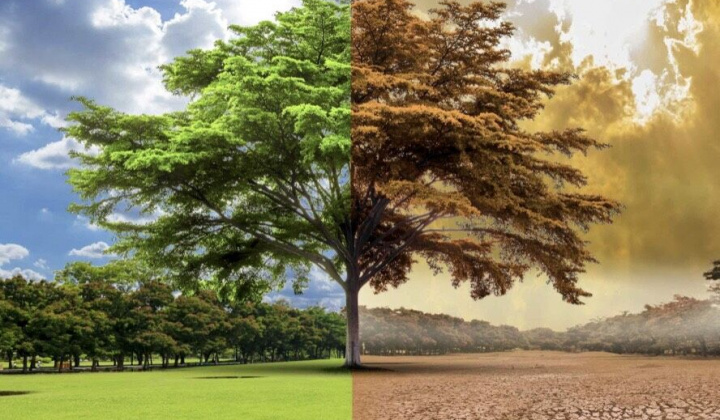 Thiên nhiên điêu đứng