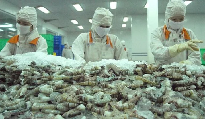 Doanh nghiệp Việt xuất khẩu tôm sang thị trường Mỹ hưởng mức thuế 0%