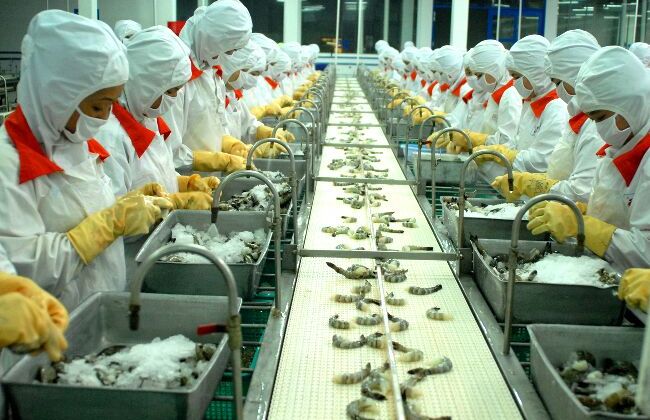 Xuất khẩu tôm khởi sắc, tăng tốc dịp cuối năm