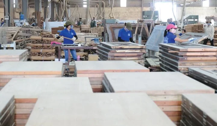 Cần thận trọng với gian lận xuất xứ trong ngành gỗ