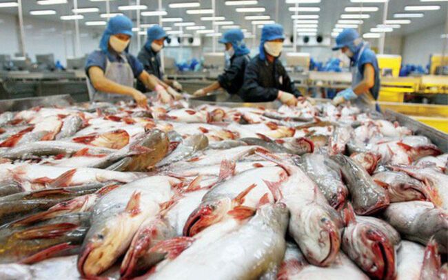 Mở ra con đường giúp cá tra Việt tới tay người nước ngoài