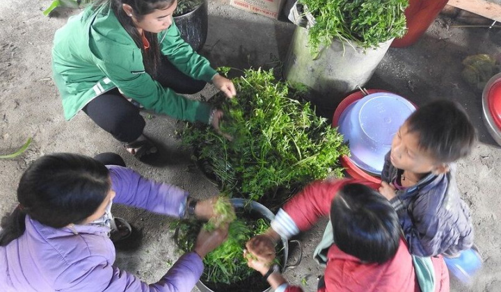 Tết về trên bản tái định cư dưới chân núi Tu Mơ Rông