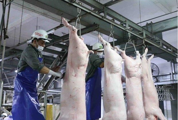 Không để thiếu hàng, tăng giá đột biến dịp Tết