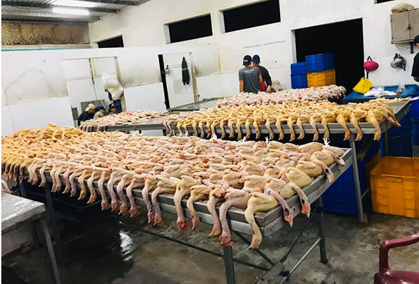 Đà Nẵng: Trực vệ sinh và chống dịch 24/24 trong dịp Tết