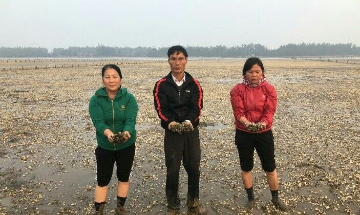 Thanh Hóa: Người dân ngửa cổ than trời vì cánh đồng ngao chết trắng