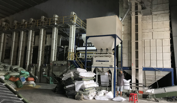 Công ty TNHH Lương thực Thuần Dũng: Đồng hành cùng nhà nông phát triển