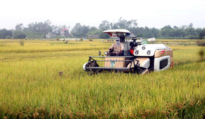 Vĩnh Phúc: Thúc đẩy ngành nông nghiệp phát triển theo hướng hiện đại