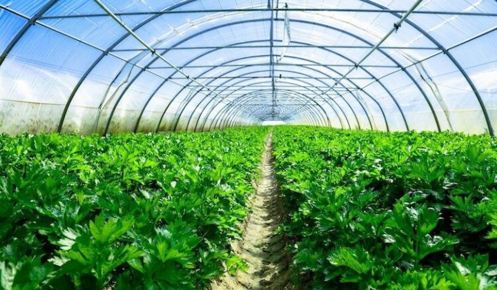 Khuyến khích chuyển đổi công nghệ mới, công nghệ sạch thân thiện môi trường