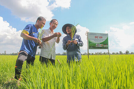 Đến 2025, thành lập mới 10.000 tổ chức kinh tế tập thể