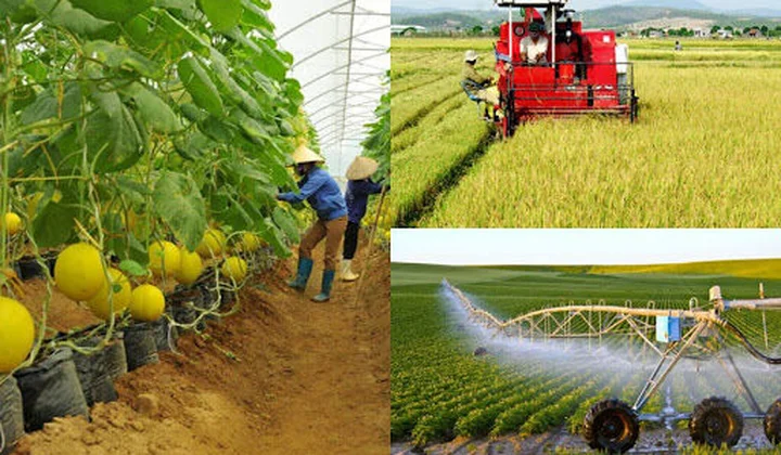 Nông dân đóng góp hơn một nửa vào mục tiêu phát triển của đất nước