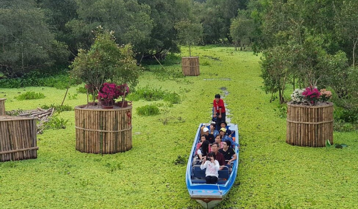 Kiệt tác giữa rừng tràm