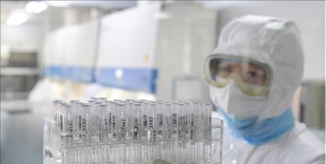 Thử nghiệm vắc xin phòng nCoV thành công