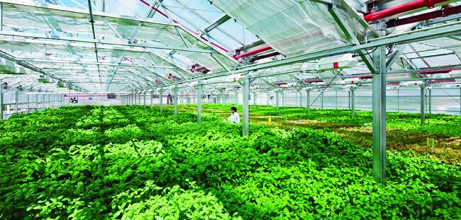 Việt Nam và Hoa Kỳ tăng cường hợp tác về nông nghiệp