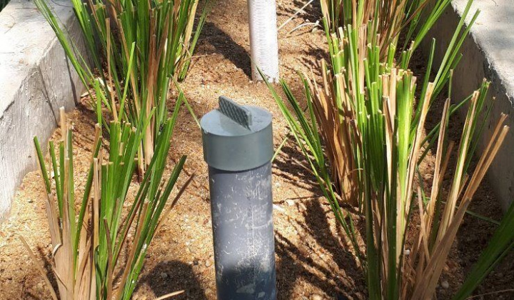 Cỏ Vetiver xử lý ô nhiễm tại bãi rác lớn nhất thành phố Đà Nẵng