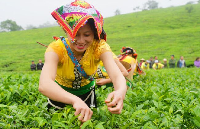 Đổi mới căn bản tư duy phát triển vùng đồng bào dân tộc thiểu số