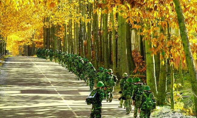 Hoàn thiện Dự án Luật Biên phòng Việt Nam