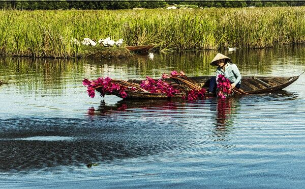 Bãi sậy – Sông Đầm: Vẻ đẹp kỳ bí được thiên nhiên ban tặng cho TP Tam Kỳ, Quảng Nam