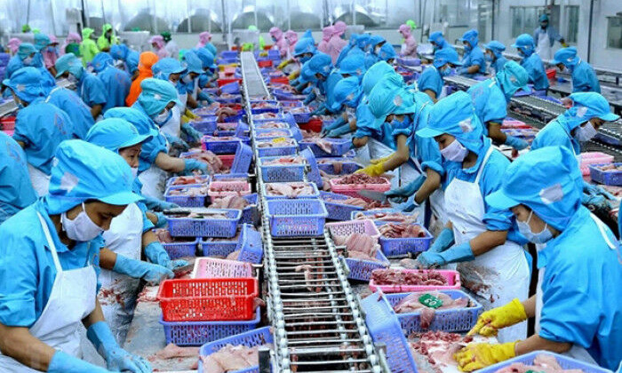 Hàng Việt Nam có xuất xứ không  rõ ràng không được chấp nhận trong EVFTA