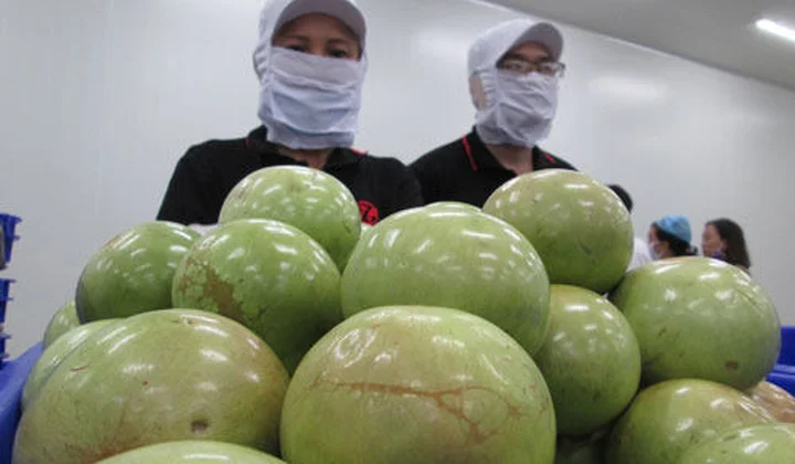 Tìm cách hồi phục con đường xuất khẩu nông sản
