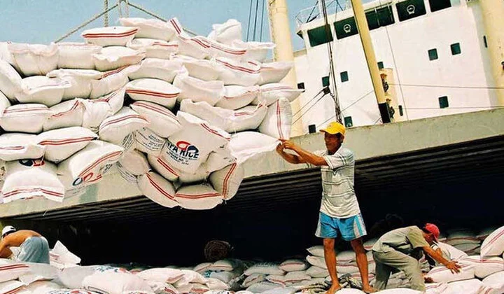 Cơ hội vàng cho thương hiệu gạo Việt xuất khẩu