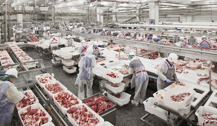 Gần 1.500 tấn thịt lợn Nga đã về đến Việt Nam