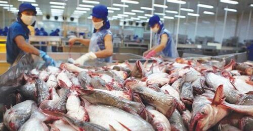 Xuất khẩu sang EU và những lưu ý cho doanh nghiệp Việt