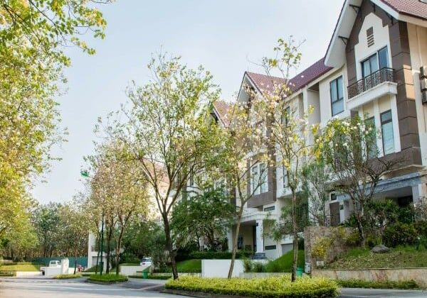 Ngỡ ngàng hương sắc tháng ba tại Ciputra Hanoi