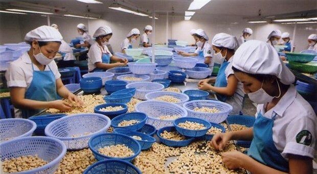Kim ngạch xuất khẩu nông, lâm, thủy sản ước tính đạt khoảng 9,06 tỷ USD trong quý đầu năm