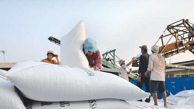 Đồng ý xuất khẩu gạo trở lại nhưng phải đảm bảo an ninh lương thực