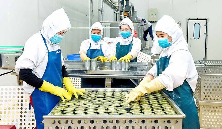 Gia Lai: Đề nghị Ngân hàng Nhà nước tỉnh tháo gỡ khó khăn do tác động của đại dịch